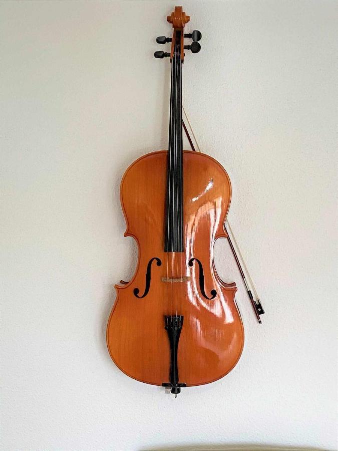 La Casa De La Musica Appartement