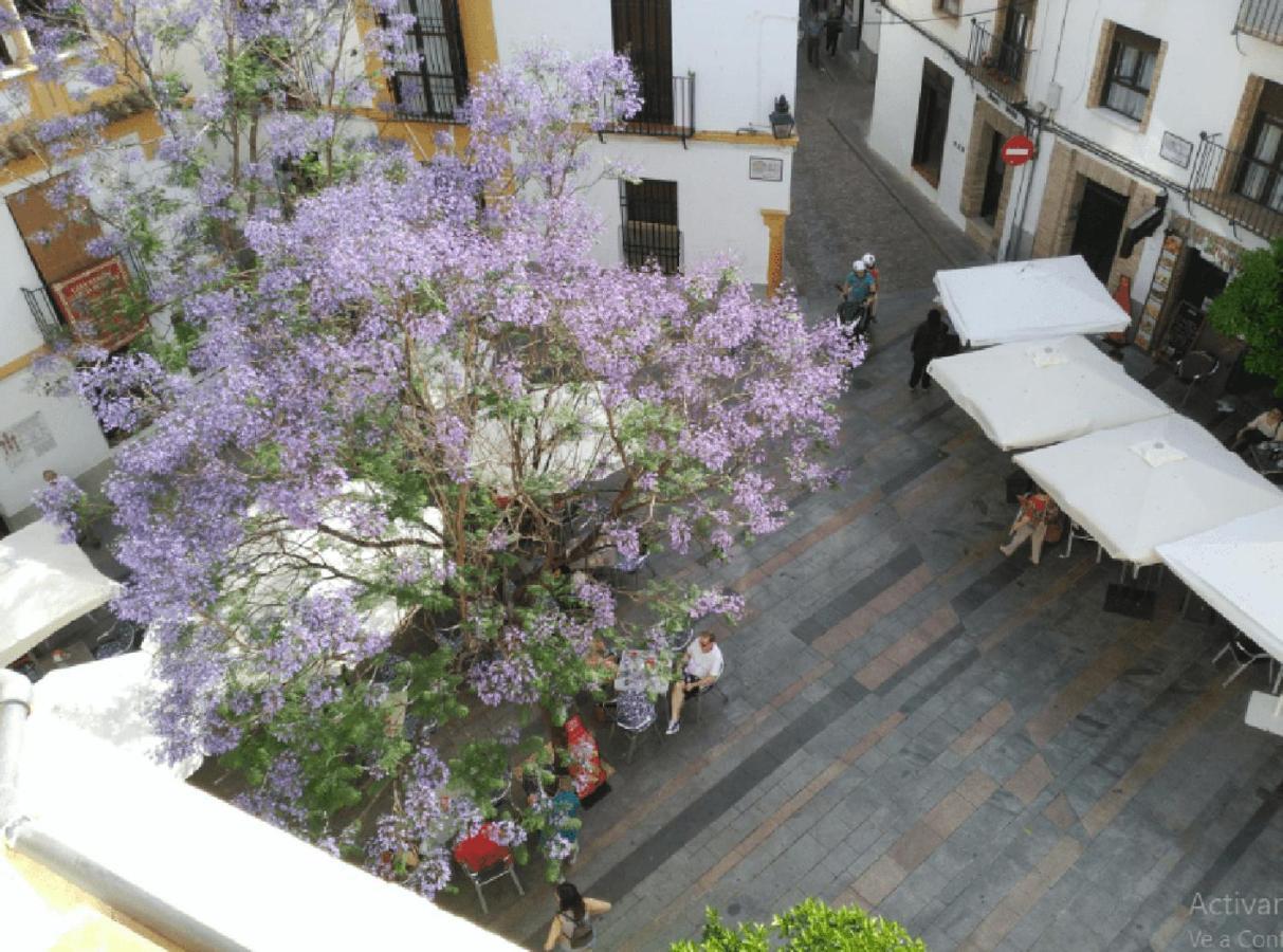 La Casa De La Musica Appartement Córdoba