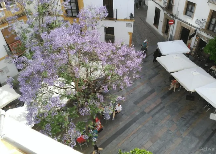 La Casa De La Musica